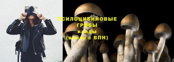шишки Абинск