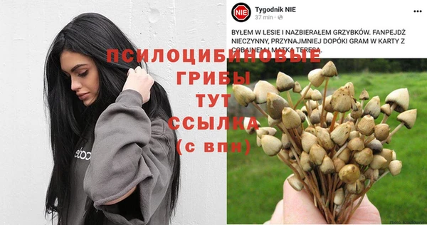героин Абаза