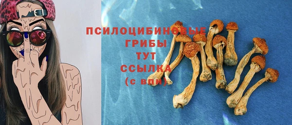 дживик Семёнов