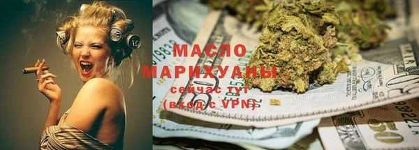 молекула духа Чистополь