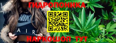 индика Ярцево