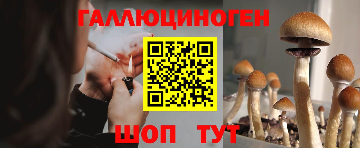 Отрадный  Галлюциногенные грибы Cubensis  хочу   Вход с VPN 